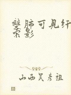 双肺可见纤维条索影