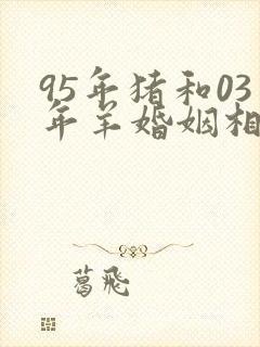 95年猪和03年羊婚姻相配吗