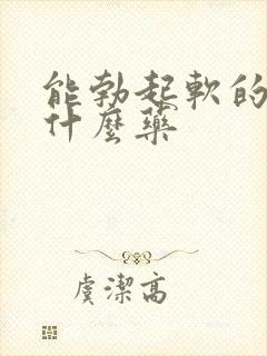 能勃起软的快吃什么药