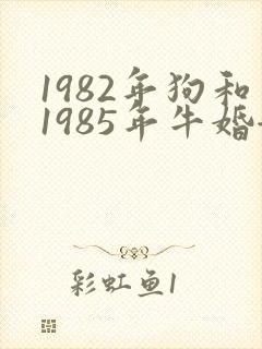 1982年狗和1985年牛婚姻怎么样