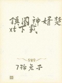 镇国神婿楚尘txt下载