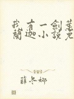 我有一剑叶观纳兰迦小说免费全集