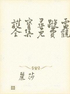 护宝寻踪电视剧全集免费观看