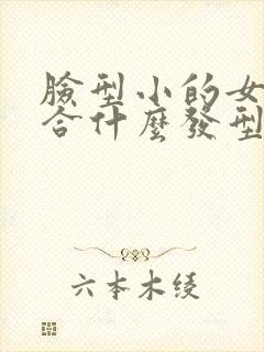 脸型小的女生适合什么发型