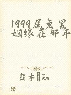1999属兔男姻缘在哪年