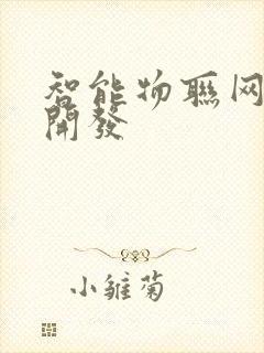 智能物联网软件开发