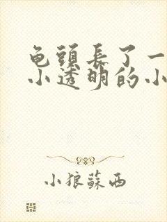 龟头长了一圈很小透明的小肉粒