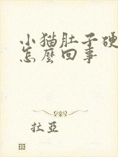 小猫肚子硬硬的怎么回事封面