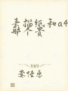 素描纸和a4纸哪个贵