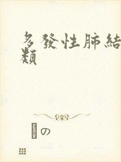 多发性肺结节2类