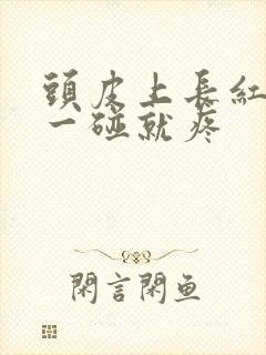 头皮上长红疙瘩一碰就疼