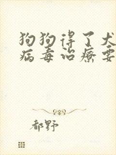 狗狗得了犬细小病毒治疗要多少钱