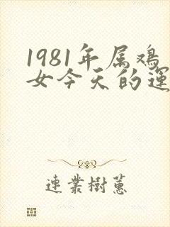 1981年属鸡女今天的运气如何