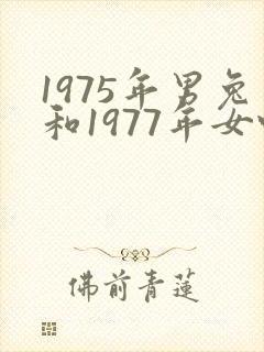 1975年男兔和1977年女蛇婚配好吗