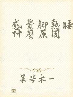 感觉脚热睡不着什么原因