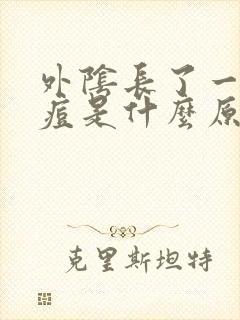 外阴长了一颗硬痘是什么原因