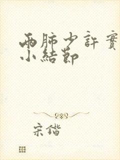 两肺少许实性微小结节封面