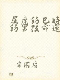 属虎的巳时出生的男孩命运怎么样