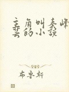 主角叫秦峰胡佳芸的小说封面