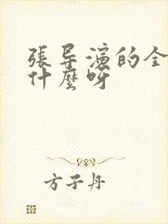 张导演的全名叫什么呀