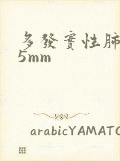 多发实性肺结节5mm封面