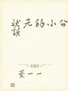 状元的小公主小说