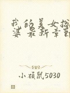 我的美女总裁老婆 最新章节 无弹窗