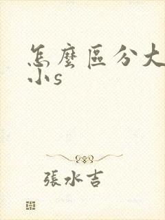 怎么区分大s和小s