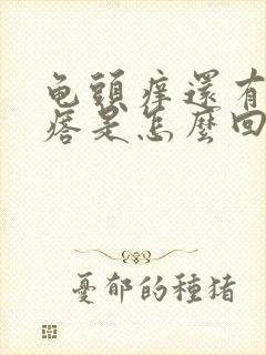 龟头痒还有小疙瘩是怎么回事封面