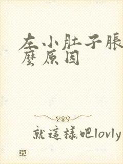 左小肚子胀疼什么原因