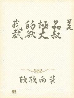 我的极品美女总裁欲大叔