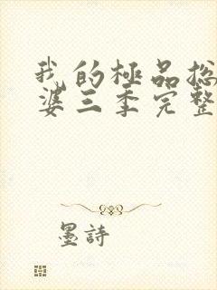 我的极品总裁老婆三季完整版