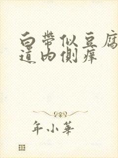 白带似豆腐渣阴道内侧痒