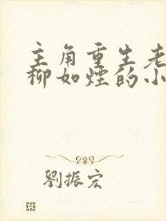 主角重生老婆叫柳如烟的小说封面