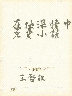 在他深情中陨落免费小说封面