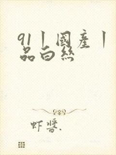 91丨国产丨精品白丝封面