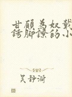 甘愿为奴戴上手铐脚镣的小说