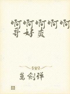 啊啊啊啊啊啊哥哥好爽封面