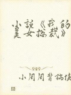 小说《我的极品美女总裁》