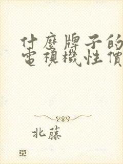 什么牌子的液晶电视机性价比高