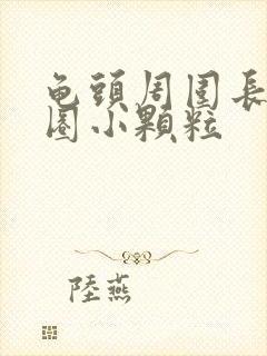 龟头周围长了一圈小颗粒