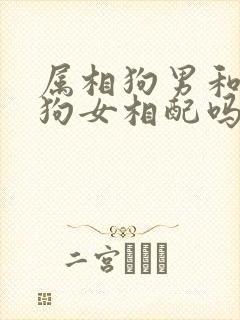 属相狗男和属相狗女相配吗