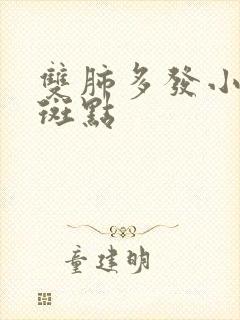 双肺多发小结节斑点