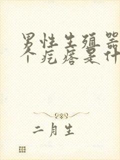 男性生殖器上长个疙瘩是什么原因封面