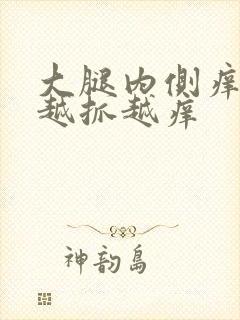 大腿内侧痒疙瘩越抓越痒