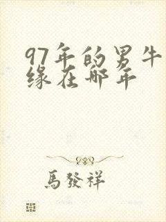 97年的男牛姻缘在哪年