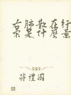 右肺散在纤维条索是什么意思