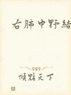 右肺中野结节影