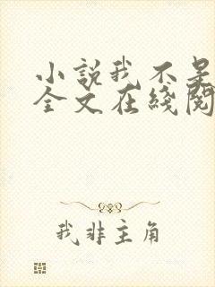 小说我不是戏神全文在线阅读封面