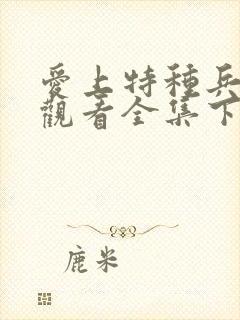 爱上特种兵免费观看全集下载高清封面